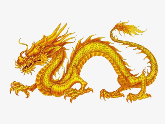 Rồng bạch kim 999