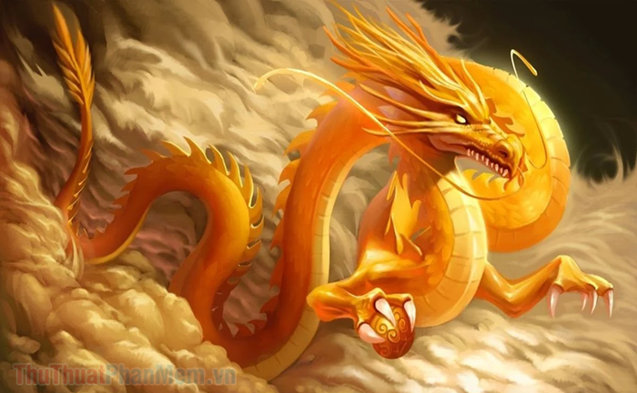 Rồng bạch kim chuẩn xác