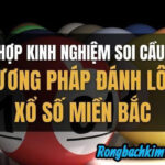 Rồng bạch kim 888 – Bí quyết bắt cầu đề chạm miền bắc