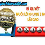 Lô nuôi 888 hướng dẫn nuôi bạch thủ lô khung 3 ngày đầy đủ nhất