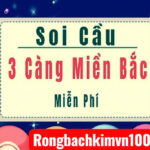 Kinh nghiệm đánh 3 càng lô từ chuyên gia