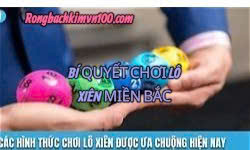 Rồng bạch kim 247 - Bí quyết chơi cầu lô xiên MB hiệu quả